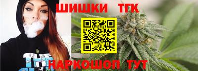мдпв Гай